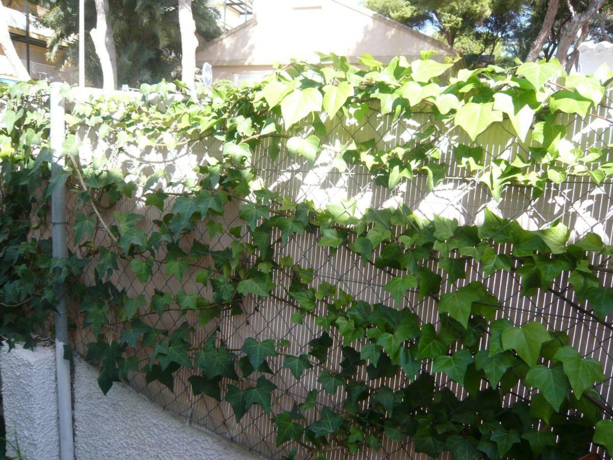 Chalet I Con Terraza En La Playa San Pedro del Pinatar Εξωτερικό φωτογραφία